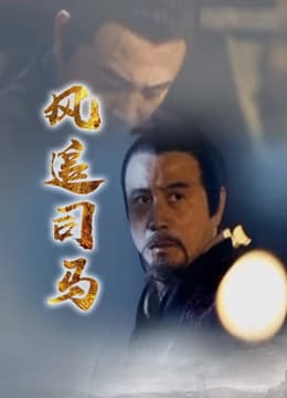 风追司马海报