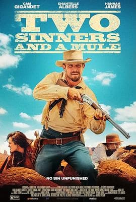 两个罪人和一头骡子海报