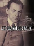 红色国际特工海报