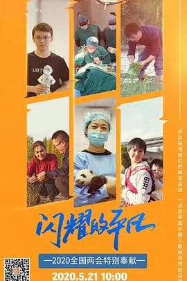 闪耀的平凡海报