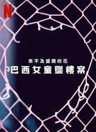 来不及盛开的花：巴西女童坠楼案海报