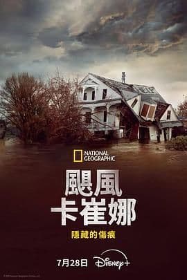 飓风卡崔娜 隐藏的伤痕海报