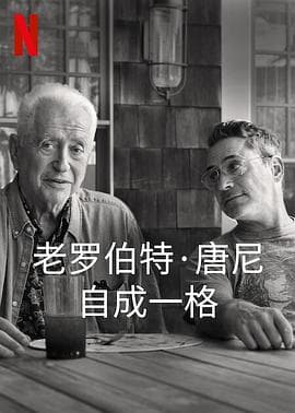 罗伯特·唐尼:自成一格海报
