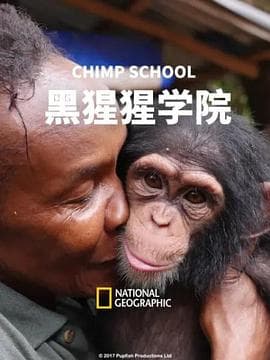 黑猩猩学院海报