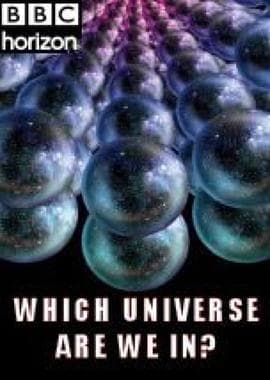 BBC地平线:我们身处哪个宇宙海报