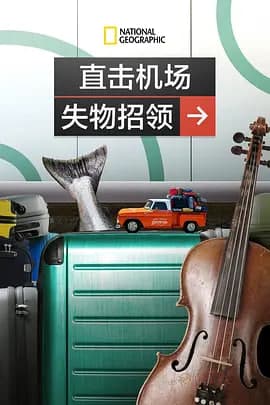 直击机场失物招领海报