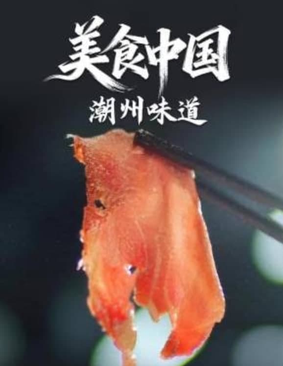 美食中国·潮州味道海报