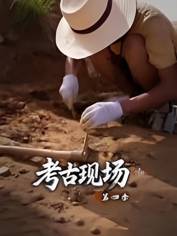 X档案·考古现场第四季海报