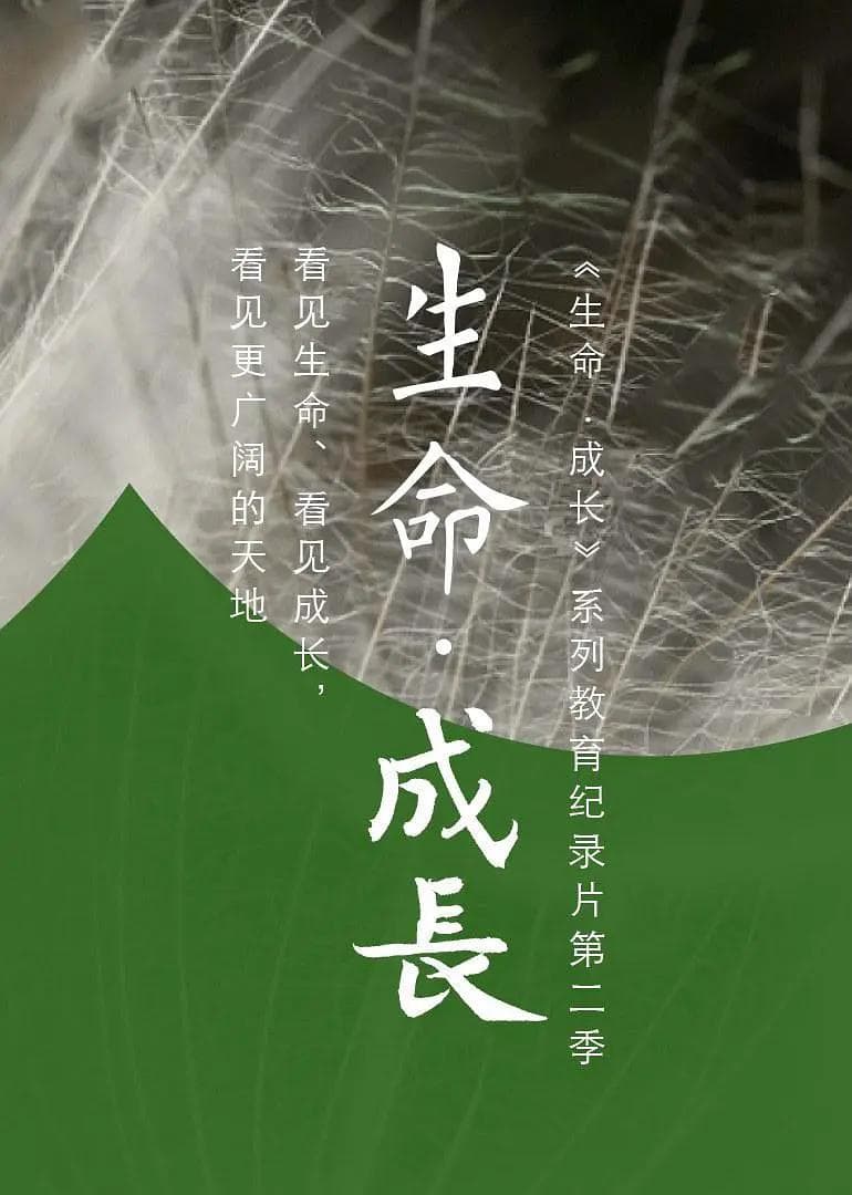 生命·成长第2季海报