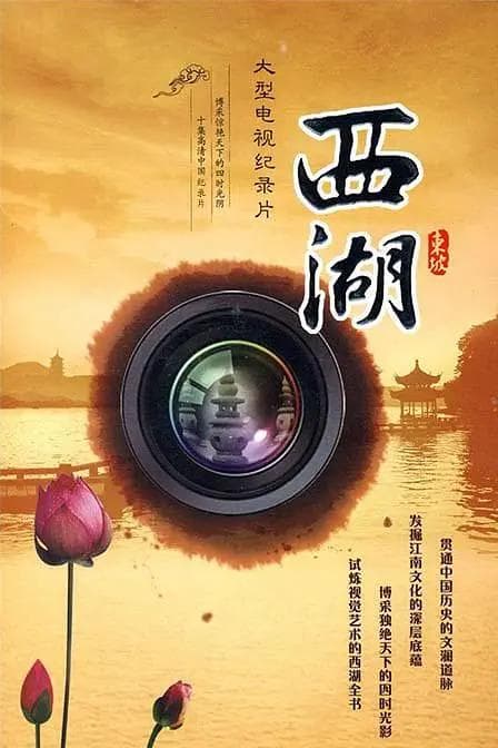 西湖2010海报