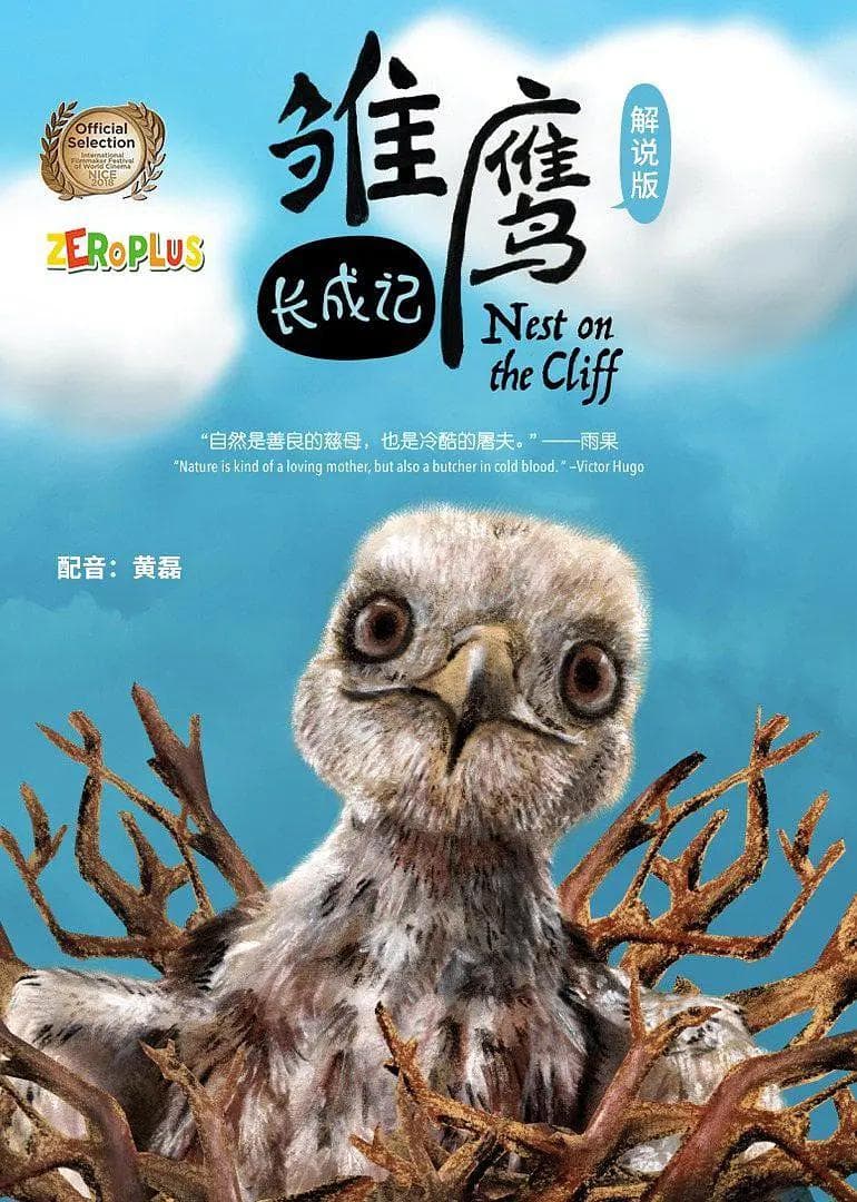 雏鹰长成记海报