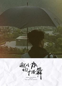 赵小康的广场舞海报