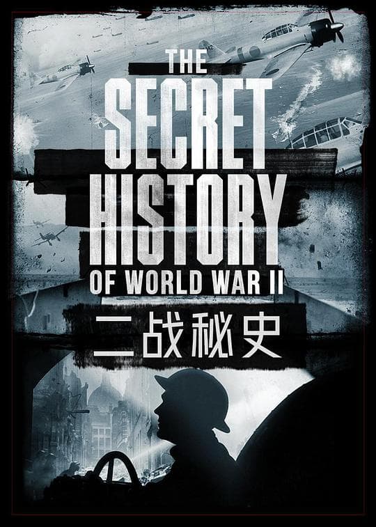 二战秘史海报