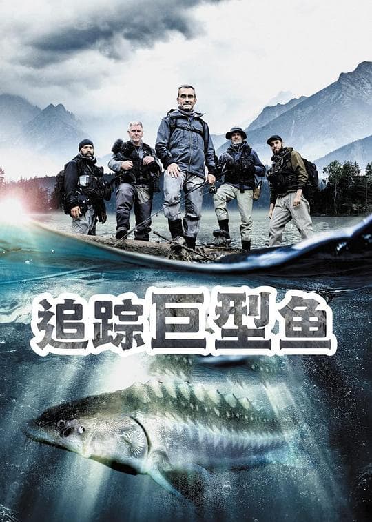 追踪巨型鱼第一季海报
