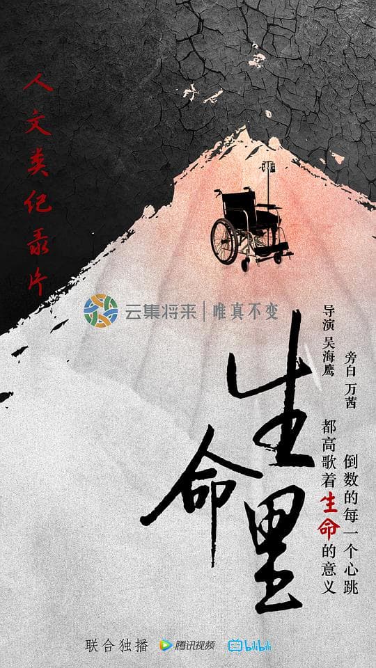 生命里海报