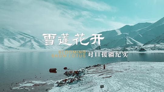 雪莲花开——对口援疆纪实海报