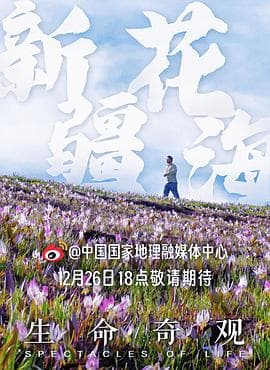 生命奇观海报