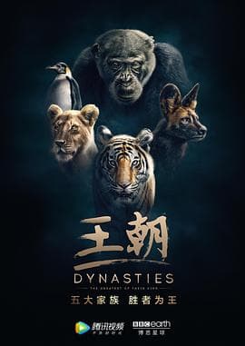 王朝 第一季 英文版海报