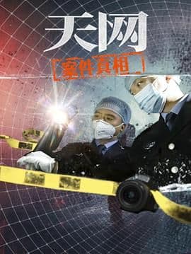 天网:案件真相海报
