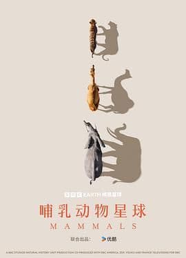 哺乳动物星球海报