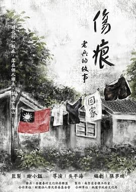 伤痕——老兵的故事海报