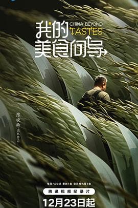 我的美食向导海报