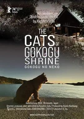 五香宫的猫海报