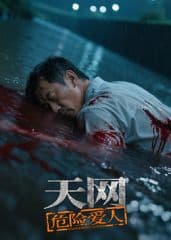 天网:危险爱人海报