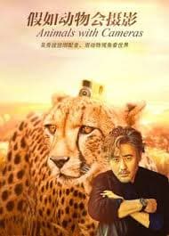 假如动物会摄影海报