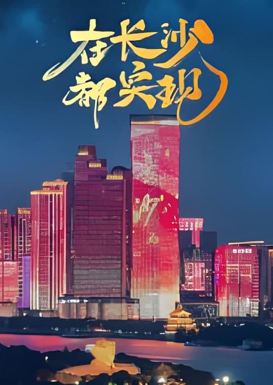 在长沙都实现海报