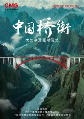 中国桥衡海报