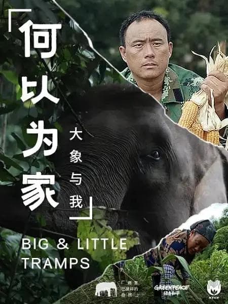何以为家:大象与我海报